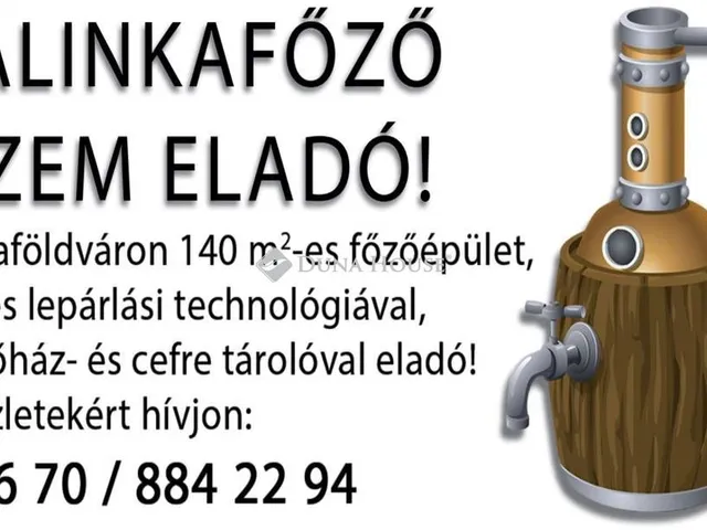 Eladó kereskedelmi és ipari ingatlan Tiszaföldvár 140 nm