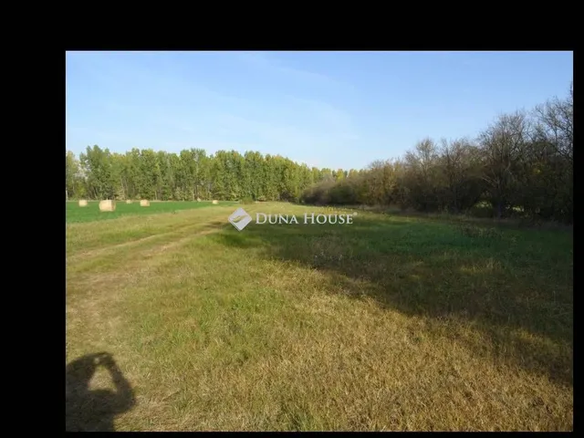 Eladó telek Tiszaug 3551 nm