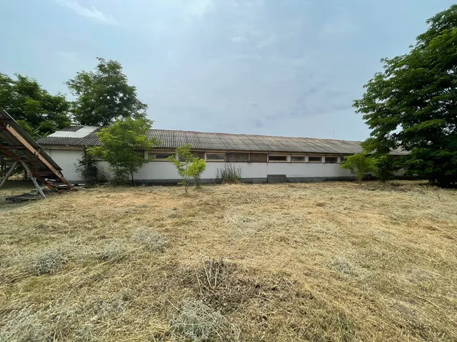 Eladó mezőgazdasági ingatlan Kecskemét 450 nm