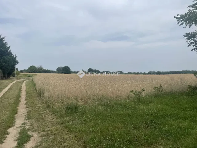Eladó telek Kecskemét 6521 nm