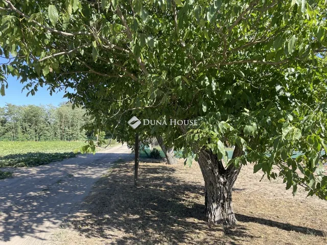Eladó telek Kecskemét 4297 nm