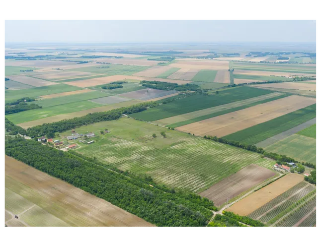 Eladó mezőgazdasági ingatlan Kunadacs 400 nm