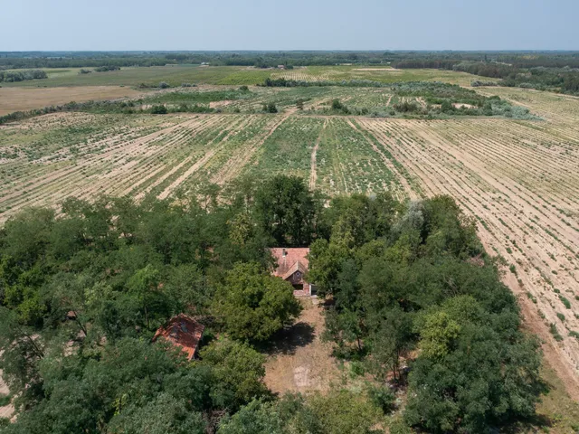 Eladó mezőgazdasági ingatlan Jakabszállás 110 nm