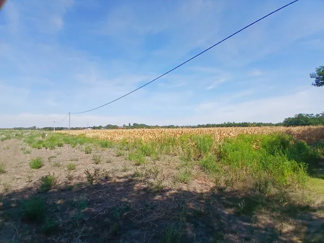 Eladó telek Kecskemét 6000 nm