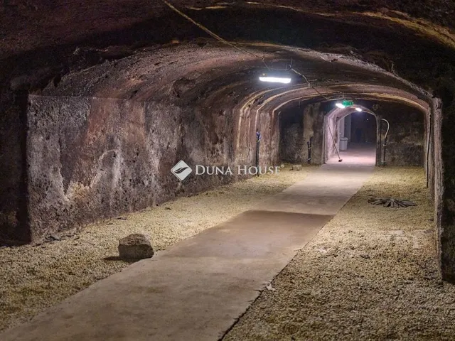 Eladó mezőgazdasági ingatlan Gyöngyös 556 nm