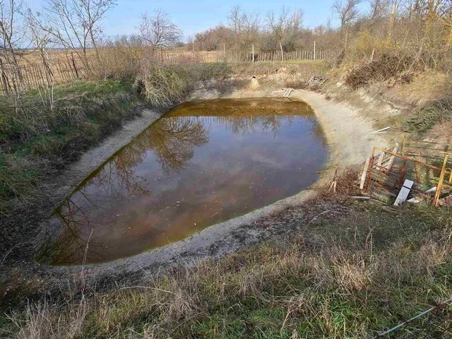 Eladó mezőgazdasági ingatlan Kiskunfélegyháza 50 nm