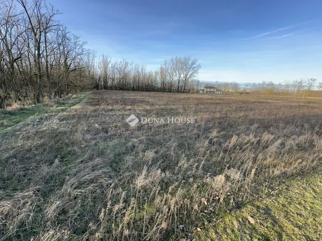 Eladó telek Kecskemét 4187 nm