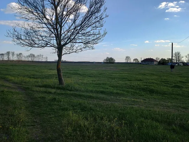 Eladó mezőgazdasági ingatlan Nagykőrös 68743 nm