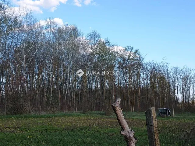 Eladó mezőgazdasági ingatlan Nagykőrös 68743 nm