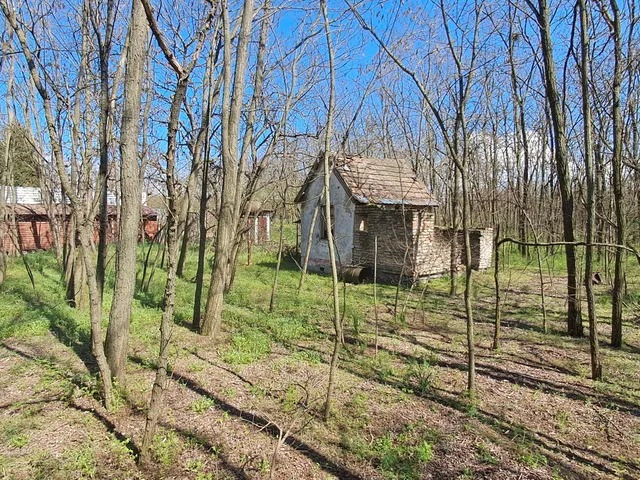 Eladó telek Kecskemét 1500 nm