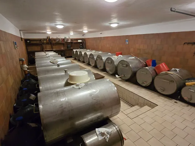 Eladó mezőgazdasági ingatlan Lakitelek 220 nm