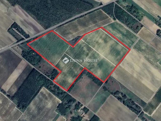 Eladó telek Orgovány 146194 nm