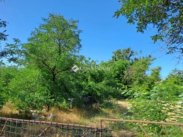 Eladó telek Kecskemét 3000 nm