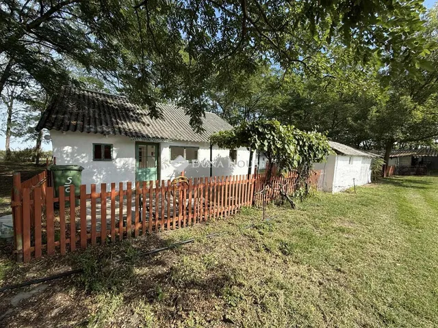 Eladó mezőgazdasági ingatlan Lajosmizse 40 nm