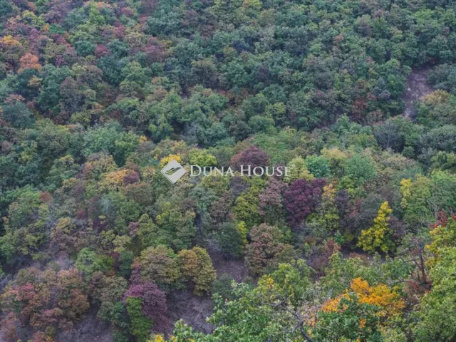 Eladó telek Pusztaszer 212793 nm