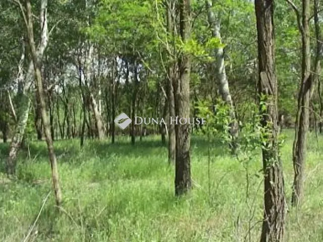 Eladó telek Kistelek 1230596 nm