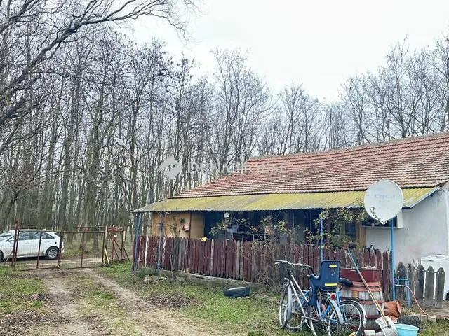 Eladó mezőgazdasági ingatlan Nagykőrös 60 nm