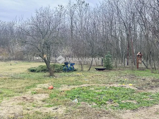 Eladó mezőgazdasági ingatlan Nagykőrös 60 nm