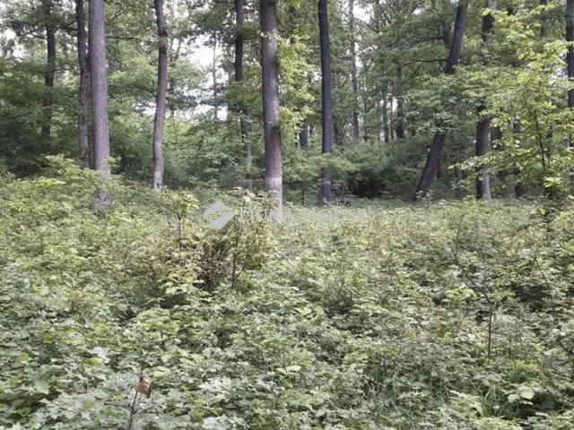 Eladó telek Felsőtárkány 589560 nm