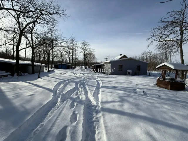 Eladó mezőgazdasági ingatlan Szabadszállás 80 nm