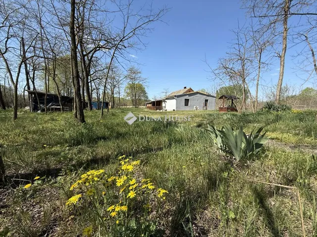 Eladó mezőgazdasági ingatlan Szabadszállás 80 nm