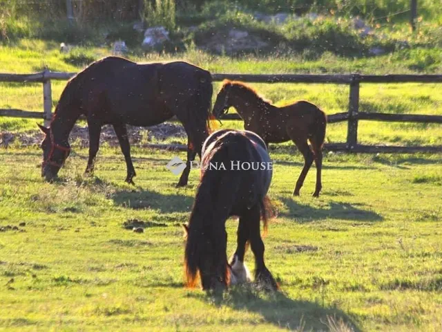 Eladó ház Császártöltés 189 nm