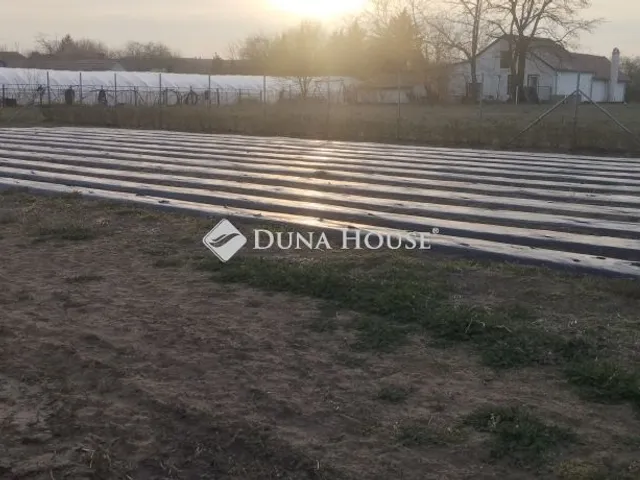 Eladó telek Kecskemét 7207 nm
