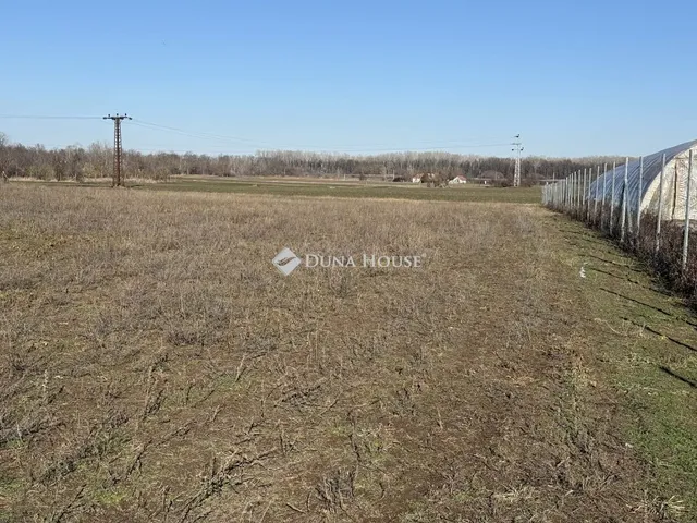 Eladó telek Kecskemét 43592 nm