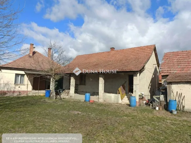 Eladó ház Ágasegyháza 100 nm