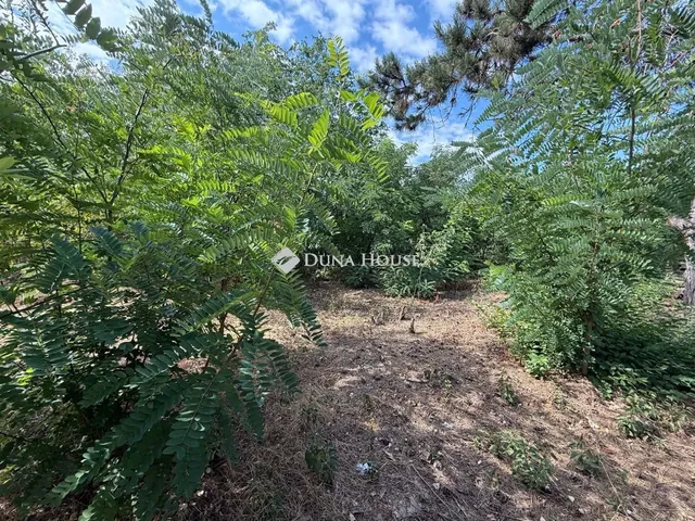 Eladó telek Kecskemét 799 nm