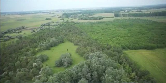 Eladó mezőgazdasági ingatlan Kiskunfélegyháza, Halasi földút 16777215 nm