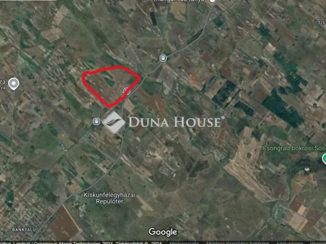 Eladó mezőgazdasági ingatlan Kiskunfélegyháza 38405 nm