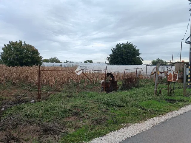 Eladó telek Szentes, Zártkert 3247 nm