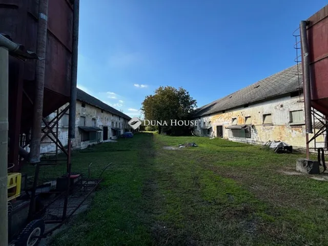 Eladó mezőgazdasági ingatlan Kiskunfélegyháza 2500 nm