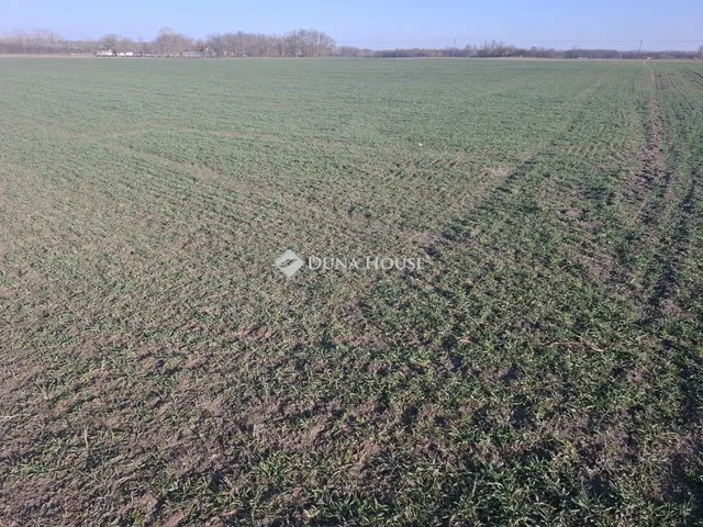 Eladó telek Petőfiszállás 38120 nm