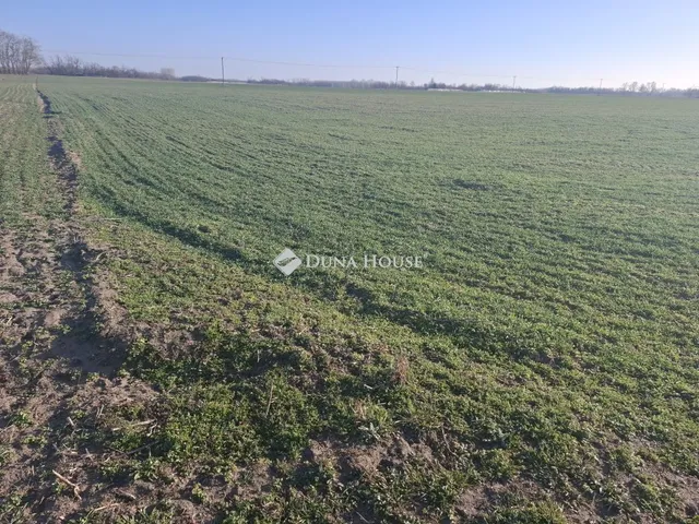 Eladó telek Petőfiszállás 38120 nm