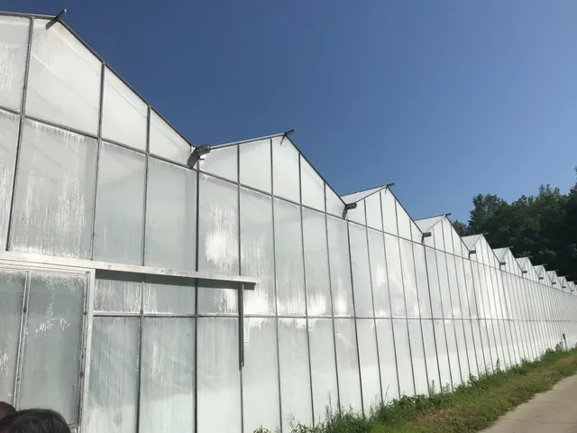 Eladó mezőgazdasági ingatlan Kiskunfélegyháza 1000 nm