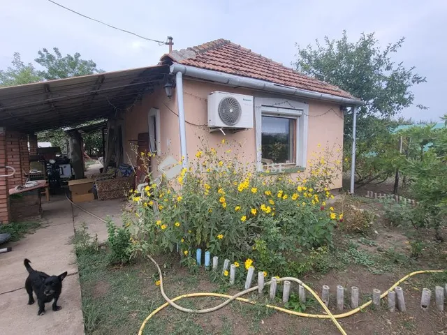Eladó mezőgazdasági ingatlan Kiskunfélegyháza 60 nm