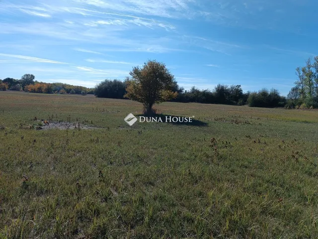 Eladó telek Pálmonostora, Nincs utca 38007 nm