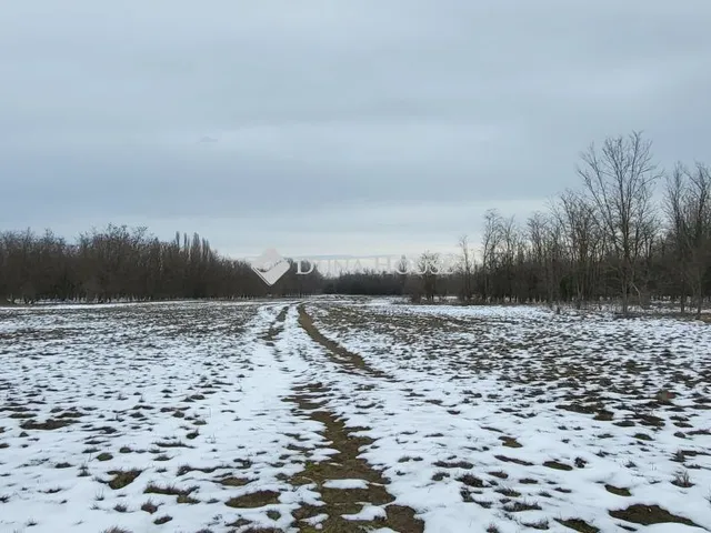 Eladó mezőgazdasági ingatlan Szank, Külterület 106889 nm