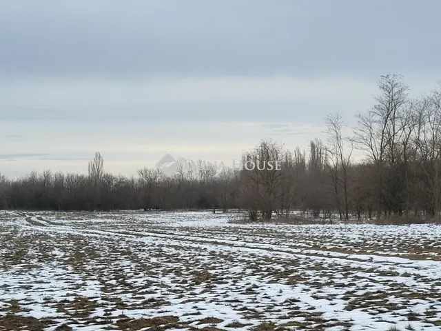 Eladó mezőgazdasági ingatlan Szank, Külterület 5755 nm