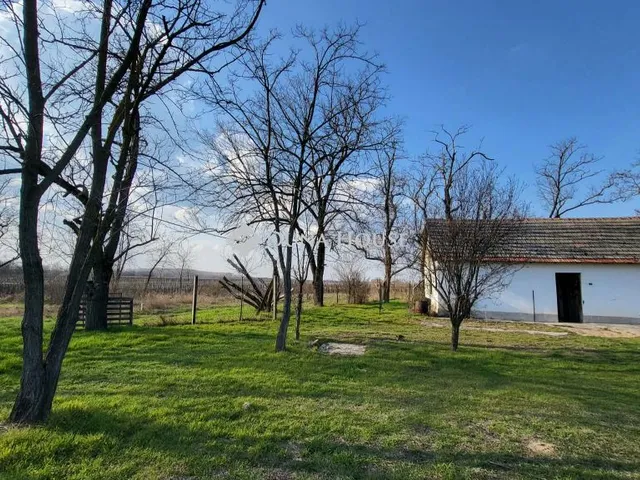 Eladó mezőgazdasági ingatlan Kiskunfélegyháza 35 nm