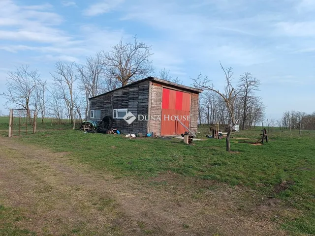 Eladó mezőgazdasági ingatlan Tiszaalpár 55 nm