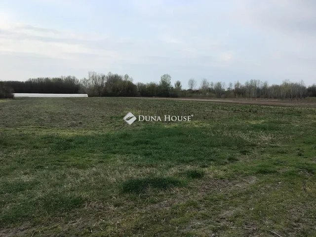 Eladó mezőgazdasági ingatlan Ásotthalom 17582 nm