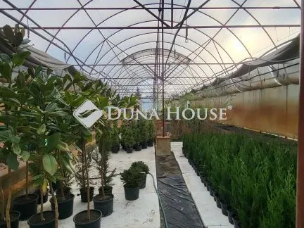 Eladó telek Kiskunfélegyháza 2976 nm