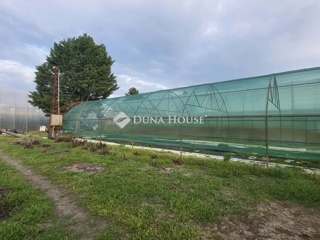 Eladó telek Kiskunfélegyháza 2976 nm