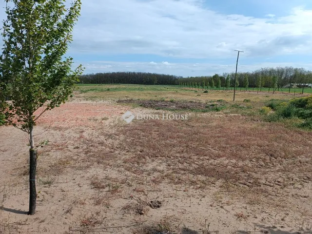 Eladó telek Kiskunfélegyháza, Öreggalambos 3. keresztdűlő 11685 nm
