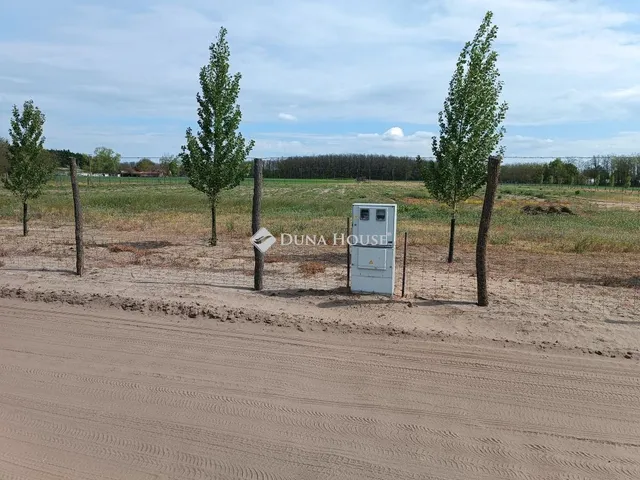 Eladó telek Kiskunfélegyháza, Öreggalambos 3. keresztdűlő 6000 nm