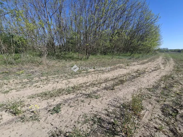 Eladó telek Kerekegyháza 4317 nm