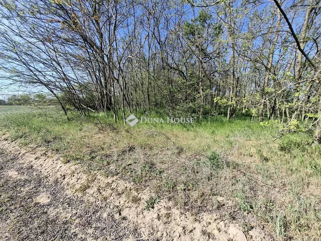 Eladó telek Kerekegyháza 4317 nm